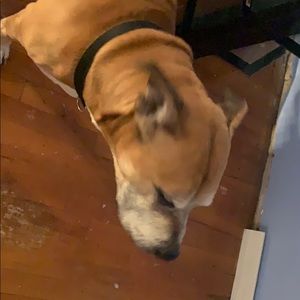 Meet your Posher, Jeff